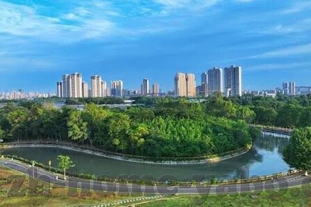 传奇召唤师九游版下载-探索奇幻之旅,传奇召唤师九游版下载全解析