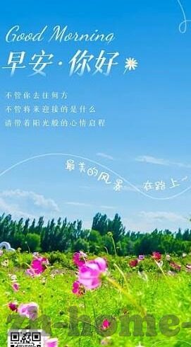 缘园足球比分-揭秘缘园足球比分,足球迷的必备神器与背后的数据江湖